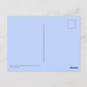 Bubbly Fotains Ripples Reflektionen Zen-Zitat Postkarte (Rückseite)