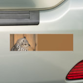 Bubo bubo sibiricus autoaufkleber (Auf Auto)
