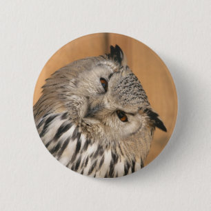 Bubo bubo sibiricus button