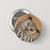 Bubo bubo sibiricus button (Vorne & Hinten)