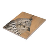 Bubo bubo sibiricus fliese (Seite)