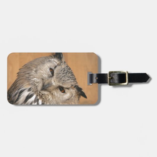 Bubo bubo sibiricus gepäckanhänger (Vorderseite horizontal)