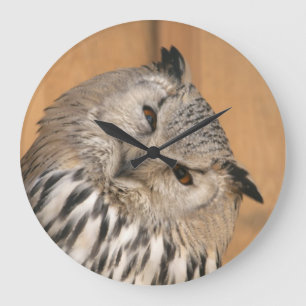 Bubo bubo sibiricus große wanduhr