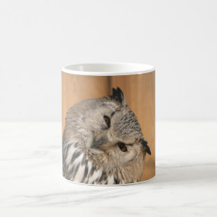 Bubo Bubo sibiricus Kaffeetasse