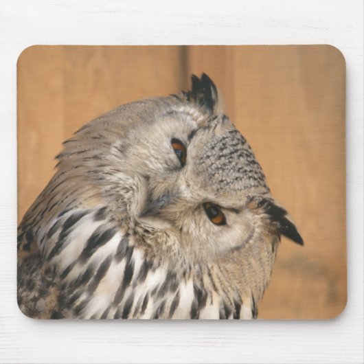 Bubo bubo sibiricus mousepad (Vorne)