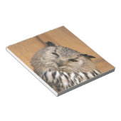 Bubo bubo sibiricus notizblock (angewinkelt)