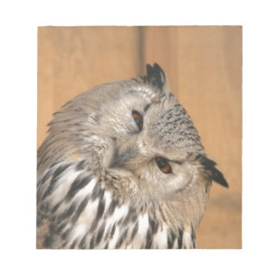 Bubo bubo sibiricus notizblock