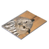Bubo bubo sibiricus notizblock (Linke Seite)