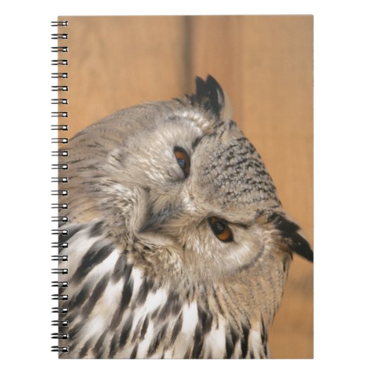 Bubo bubo sibiricus notizblock (Vorderseite)