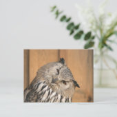 Bubo bubo sibiricus postkarte (Stehend Vorderseite)