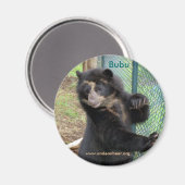 Bubu Andean Bear Magnet (Vorderseite/Rückseite)