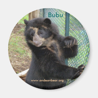 Bubu Andean Bear Magnet