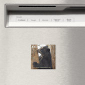 Bubu-Bärenmagnet Magnet (In Situ (Geschirrspüler))