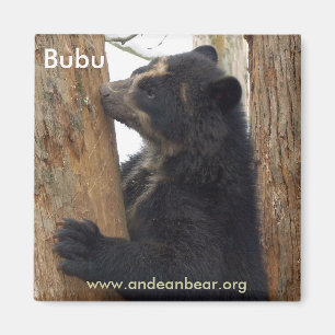 Bubu Bärnmagnet Magnet