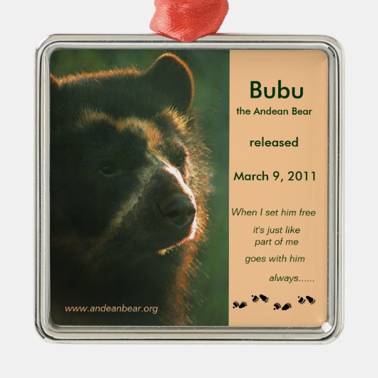 Bubu ist frei! silbernes ornament (Vorne)