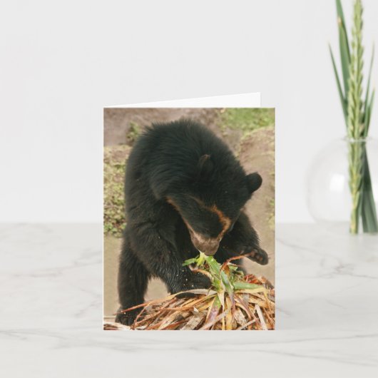 Bubu Notecard PB1 Karte (Vorderseite)