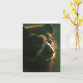 Bubu Notecard PB2 Karte (Gelbe Blume)