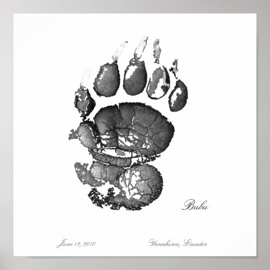 Bubu Pawprint Poster (Vorne)