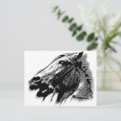 Bucephalus Postkarte (Stehend Vorderseite)