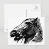Bucephalus Postkarte (Vorne/Hinten)