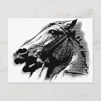 Bucephalus Postkarte