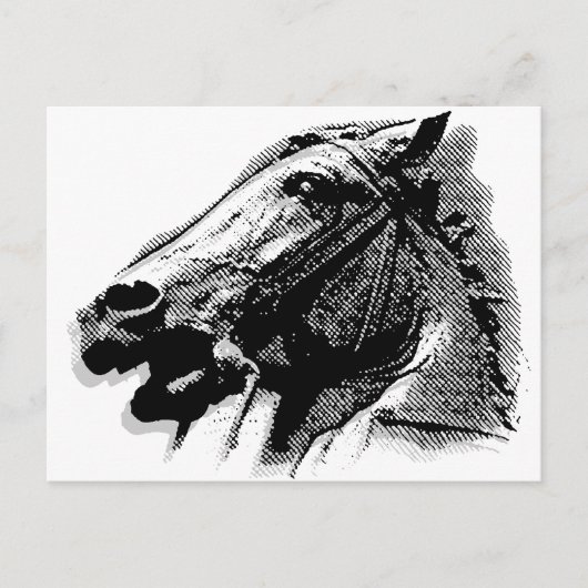 Bucephalus Postkarte (Vorderseite)
