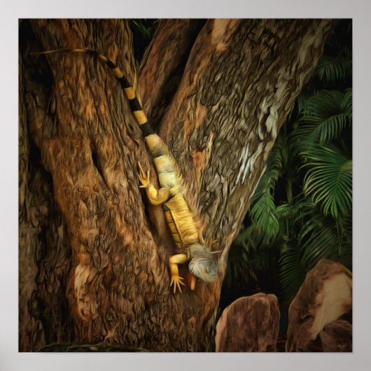 Bucerias Iguana 1069 Art Print Poster (Vorne)