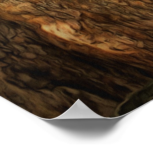 Bucerias Iguana 1069 Art Print Poster (Ecke)