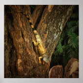 Bucerias Iguana 1069 Art Print Poster (Vorne)
