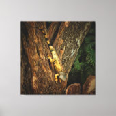 Bucerias Iguana Art Leinwanddruck (Vorderseite)