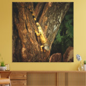 Bucerias Iguana Art Leinwanddruck (Insitu (Wohnzimmer))