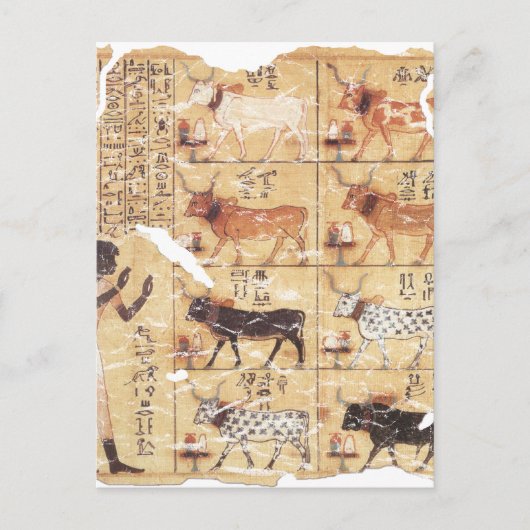 Buch der Toten Maiherperi-1479bc Postkarte (Vorderseite)