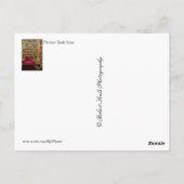 Buch Postkarte (Rückseite)