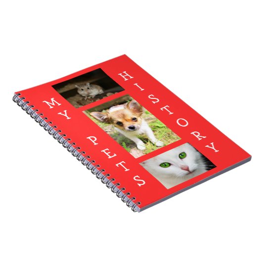 Buch über die Geschichte meiner Haustiere (Rechte Seite)