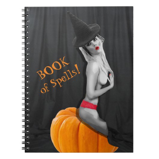 Buch Zauber Notebook Journal Witchcraft Pagan (Vorderseite)
