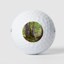 Buche Bäume im Wald (Wald) (Paul Ranson) Golfball