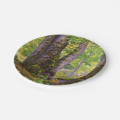 Buche Bäume im Wald (Wald) (Paul Ranson) Pappteller (Schrägansicht)