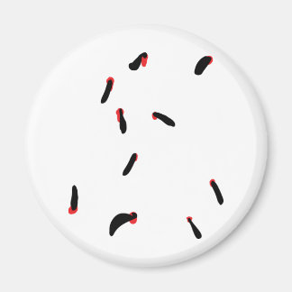 Buche - Blutsauger Magnet