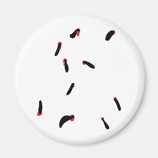 Buche - Blutsauger Magnet (Vorne)