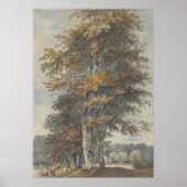 Buche, Mensch, Rinder und Schafe, Vintag Poster (Vorne)