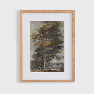 Buche, Mensch, Rinder und Schafe, Vintag Poster