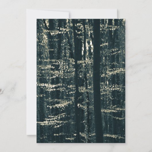 Buchenwald-Natur-Foto Feiertagskarte (Vorderseite)