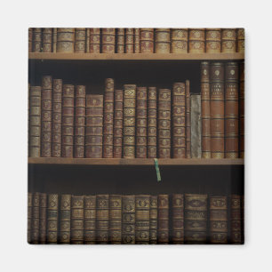 Bücher bedecken Bücherregal alte Bibliothek Magnet