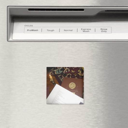 Bücher des letzten Jahrhunderts Magnet (In Situ (Geschirrspüler))