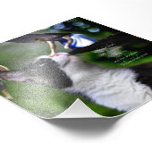 Bücher mit Cat William Shakespeare Zitat Print Fotodruck (Ecke)