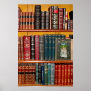 Bücherregale Poster