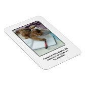 Buchhalter Kitty Magnet (Rechte Seite)