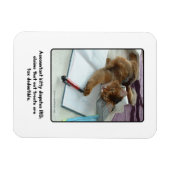 Buchhalter Kitty Magnet (Horizontal)