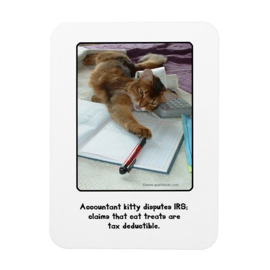 Buchhalter Kitty Magnet (Vertikal)