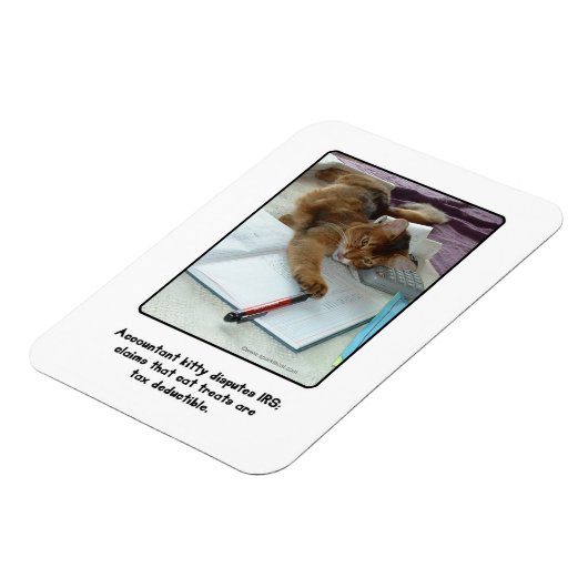 Buchhalter Kitty Magnet (Linke Seite)